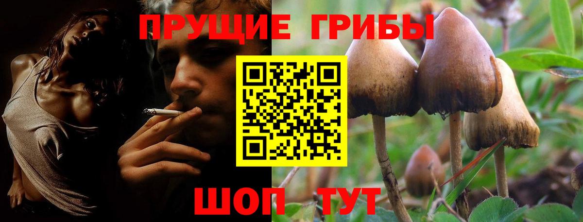 Кохма  Псилоцибиновые грибы мухоморы  Вход с VPN  Псилоцибиновые грибы Magic Shrooms 